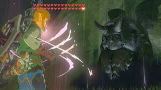 How to Duplicate Hearts and Stamina  Zelda BOTW [upl. by Georgi]