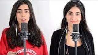 Luciana Zogbi  Despacito  Lyrics Luis Fonsi ft Justin Bieber [upl. by Mlohsihc]