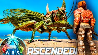 Jeg tæmmede DEN VILDESTE DINO  ARK Survival Ascended Ep 15 [upl. by Yvan]