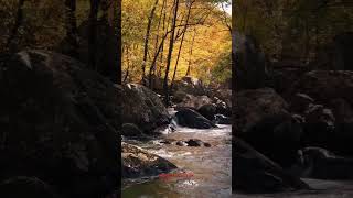 Wow Cantiknya Pemandangan Sungai dan Air Jernih shortvideo pemandangan [upl. by Nrojb]