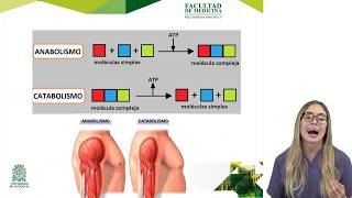 2 Aspectos Fisiológicos del Ejercicio en los Niños  Dra Esperanza Montoya [upl. by Hirasuna]