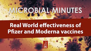 Real World effectiveness of Pfizer and Moderna vaccines  Microbial Minutes [upl. by Gunnar394]