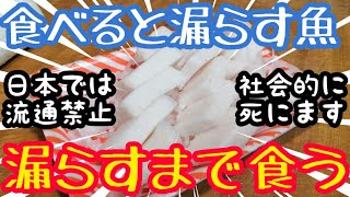 【視聴注意】食べるとお漏らしする禁断の魚、バラムツを限界まで食べまくる [upl. by Eelimaj]