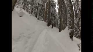 Hollyburn Backcountry Skiing [upl. by Alcine]