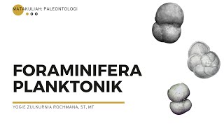 Paleontologi  Foraminifera Planktonik [upl. by Saloma]