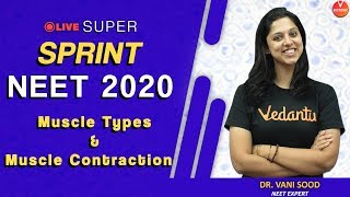 NEET Biology  Muscle Types amp Muscle Contraction  NTA NEET 2020  Dr Vani Sood  Vedantu Biology [upl. by Lorraine564]