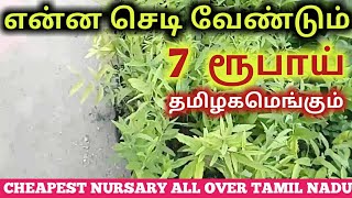 NURSARYஎந்த செடி வாங்கினாலும் 7 ரூபாய்Low CostIsha NursaryTAMILFPFARMERS POST [upl. by Parhe825]