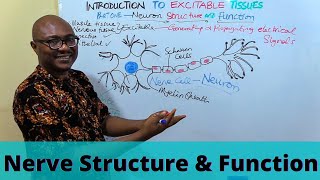 Introduction to Excitable Tissues [upl. by Attirb]