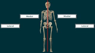 Términos Direccionales en Anatomía [upl. by Gere]