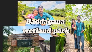 baddegana wetland park බැද්දෙගම තෙත්බිම් උද්‍යානයawidina gaya [upl. by Heuser]