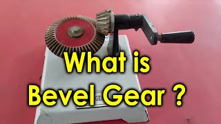 What is Bevel Gear  Bevel Gear Working  Mitre Gear  Skew Bevel Gear  Purushotam Academy [upl. by Wavell]