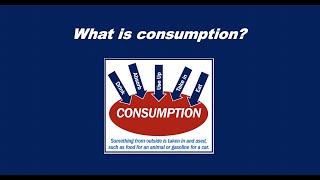 What is consumption [upl. by Anniram]