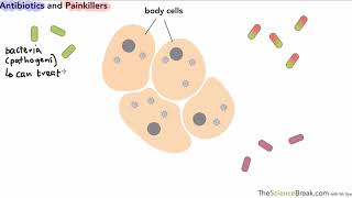 Antibiotics and Painkillers for AQA 91 GCSE Biology and Trilogy Combined Science [upl. by Godart]