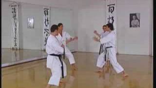 Kata Bunkai 2  Jion [upl. by Gabi]