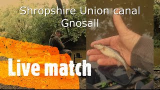 Live match fishing on the Shropshire Union canal at Gnosall [upl. by Lathe]