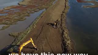 Thérèse Coffey MP visits RSPB Havergate Island [upl. by Nosmas776]