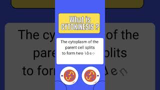 What is cytokinesis cell division mitosis and meiosis shortsfeed biology science shorts [upl. by Nonnaer]