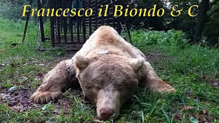 2024 09 08 Francesco il Biondo amp C [upl. by Revart]