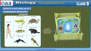 What is cell – Biology CBSE Class 9 [upl. by Radferd]