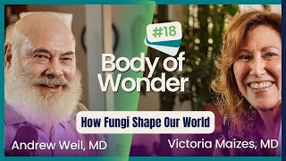 A Kingdom of Their Own  How Fungi Shape our World with Merlin Sheldrake  Body of Wonder Podcast [upl. by Ahseket390]