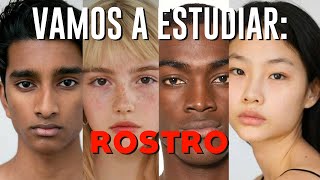 Vamos a estudiar Rostros [upl. by Godrich]