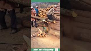 Best working day 1241 Log sawing process [upl. by Nnairac]