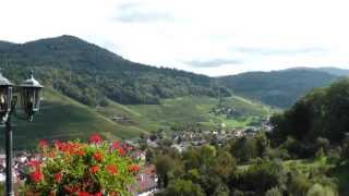 WeinliedSchütt die Sorgen in ein Gläschen Wein [upl. by Imehon]