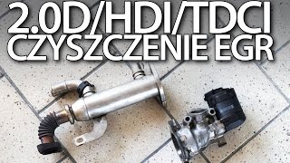 20HDI 20TDCi 20D zawór EGR demontaż i czyszczenie [upl. by Ivgnout]