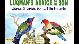 QURAN STORY  LUQMANS ADVICE TO HIS SON  BEDTIME STORIES KIDS STORIES [upl. by Noonan712]