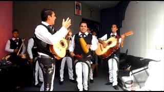 MARIACHIS EN GUADALAJARA SHOW IMITACIONES WHATS 3338147247 [upl. by Peti]