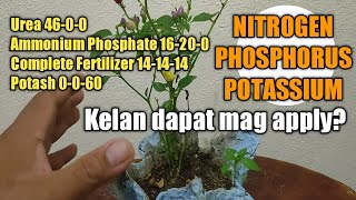 Guide sa pag apply ng Fertilizer during vegetative and flowering amp fruiting stage [upl. by Sanborn]