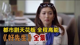 都市劇TOP1全劇情高清來襲一口氣看完《好先生》全集 [upl. by Ennaed216]