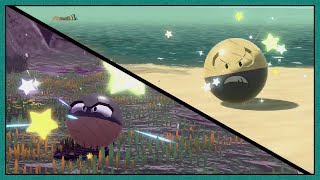 Live Shiny Hisuian Voltorb  evolution in Pokemon Legends Arceus Full Odds [upl. by Ateerys664]