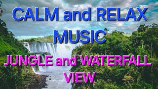 CALM and RELAX MUSIC JUNGLE and WATERFALL VIEW will CALM YOU DOWN [upl. by Anders]