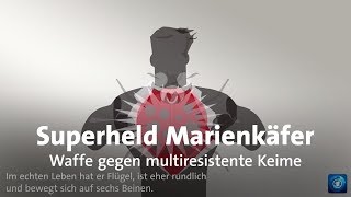 gutzuwissen Superheld Marienkäfer [upl. by Garap829]