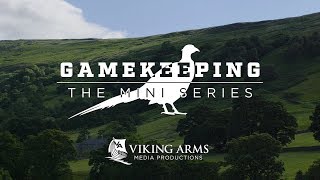 Gamekeeping The Mini Series  Pheasant E2 [upl. by Ynner]