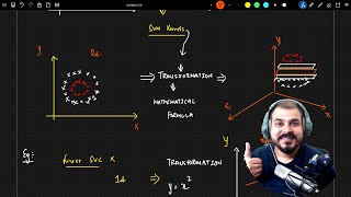 How SVM Kernels Work Krish Naik Hindi [upl. by Alphonso]