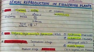 SEXUAL REPRODUCTION IN FLOWERING PLANTS CLASS 12 NOTES shortsneet [upl. by Nnyluqcaj137]