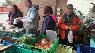 信國社區滇緬村寨遊日本東京「東京伊豆花森情」五日遊記。「修善寺溫泉遊記」螃蟹吃到飽。 [upl. by Adiaj498]