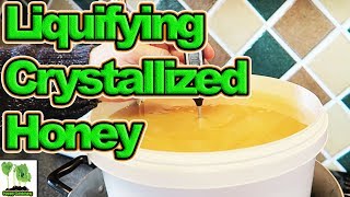 How To Convert Crystallized Honey Back To Liquid Honey [upl. by Ahsiem]