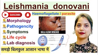 Leishmania donovani Parasite in Hindi  Life cycle  Lab diagnosis  Haemoflagellate [upl. by Finbar]