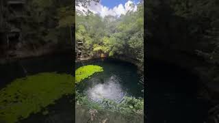 Quintana Roo Kin Ha Cenote México is hidden gem for adventurers mexico [upl. by Gunilla606]