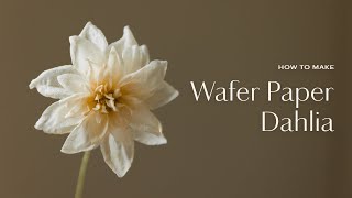 Learn my secrets to making Dahlia Wafer Paper Flowers [upl. by Yerocaj]