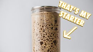 The Ultimate Sourdough Starter Guide [upl. by Jamel652]