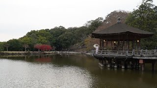 First Day in Nara Japan Walking Tour [upl. by Wolf]