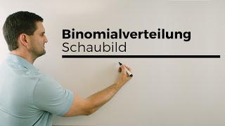 Binomialverteilung Schaubild Histogramm  Mathe by Daniel Jung [upl. by Nanni]