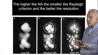 Microscopy Resolution in Microscopy Jeff Lichtman [upl. by Aiek]