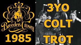 1985 Breeders Crown  Prakas  3YO Colt Trot [upl. by Colligan]