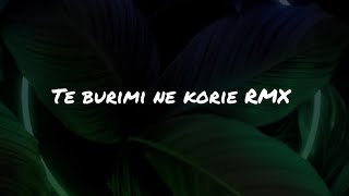 Te burimi ne korie RMX [upl. by Ardnuhs]