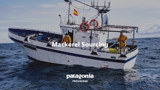 A Mackerel Story  Patagonia Provisions [upl. by Airegin86]